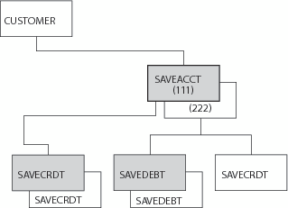 SAVEACCT (111), SAVECRDT, and SAVEDEBT are highlighted.