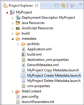 Create Metadata Launch File