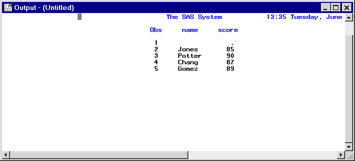 [The Output Window Showing the Results of a Submitted Procedure]