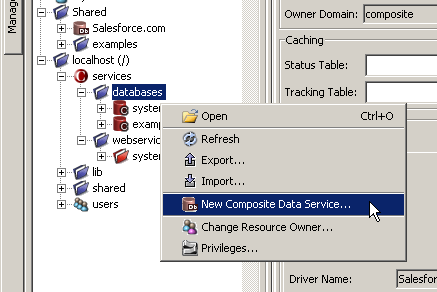 Figure showing the location of the New Data Service menu choice that is available by right clicking localhost > services > databases.