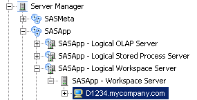 [Expanded workspace server tree in SAS Management Console]