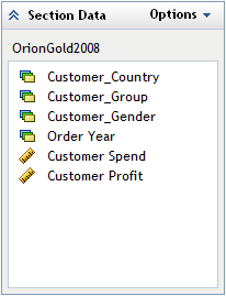 Section Data Pane in Edit Mode Showing the Standard Data Items Selected for the Query