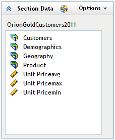 Section Data Panel Showing the Standard Data Items Selected for the Query