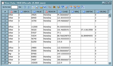 Sample Target Table in the View Data Window