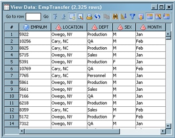 Sample Target Table in the View Data Window
