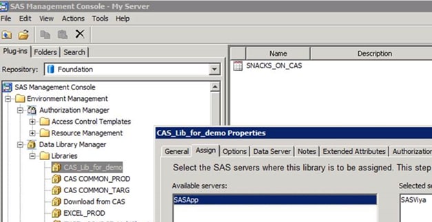 Selecting a SAS Library definition for a Viya Application Server