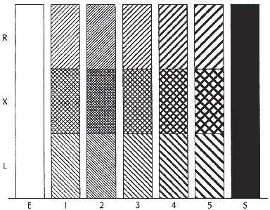 Bar and Block Patterns