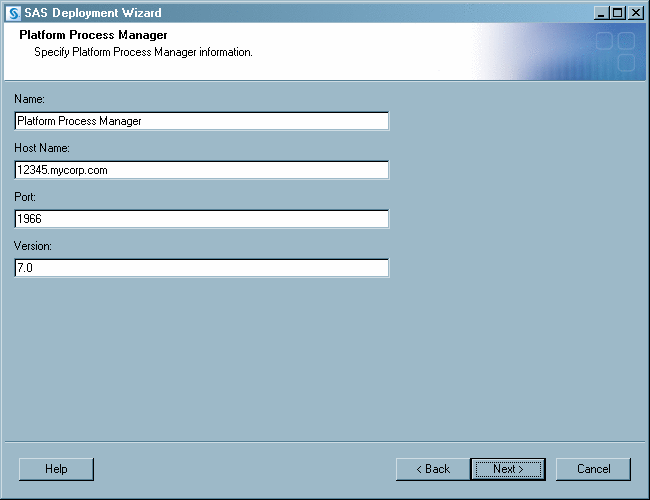Platform Process Manager window in deployment wizard, custom install