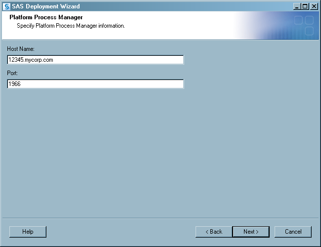 Platform Process Manager window in deployment wizard, express install