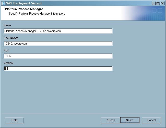 Platform Process Manager window in deployment wizard, custom install