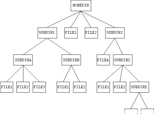 [Directory File Structure]