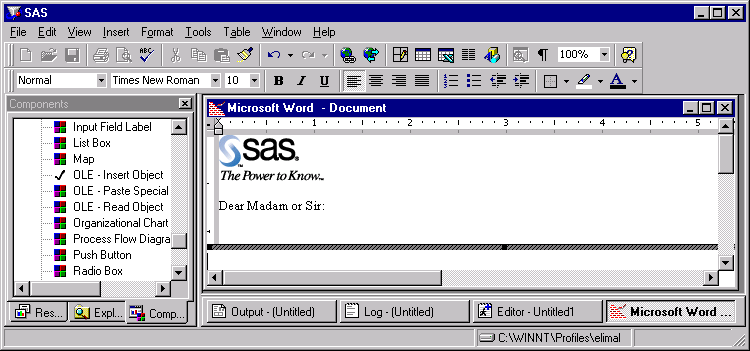 [SAS/AF FRAME Entry with Word object activated]