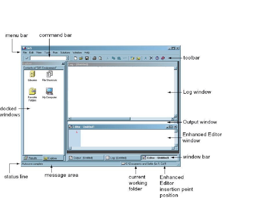 Components of the Main SAS Window