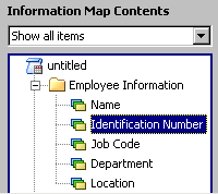 Information Map Contents pane with updated data item
