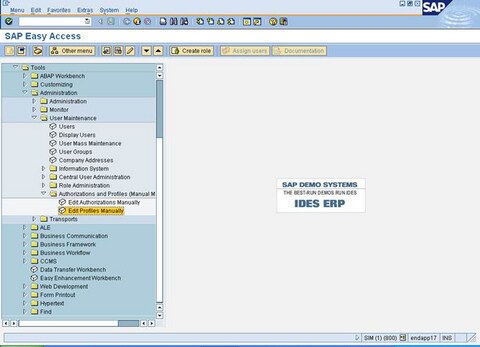 SAP Easy Access Window