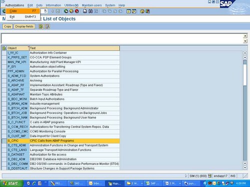 Maintain Profiles: List of Objects Window