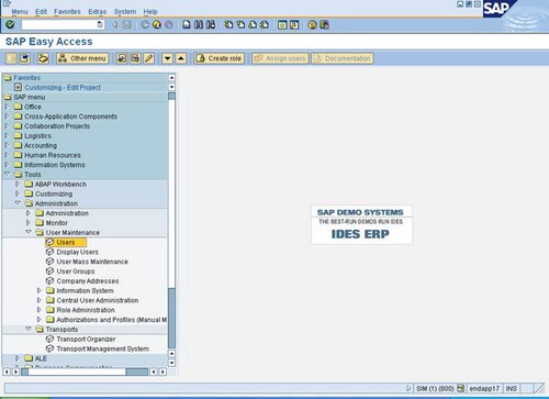 SAP Easy Access Window