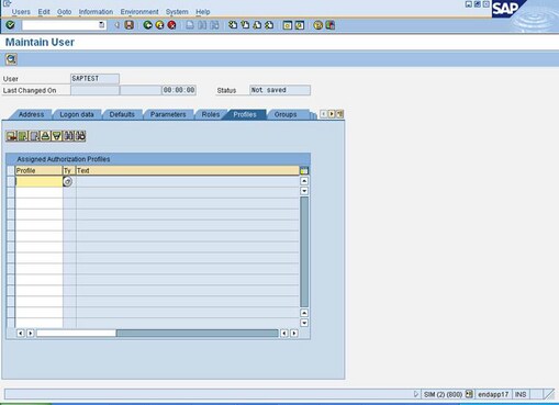 Maintain User: Profiles