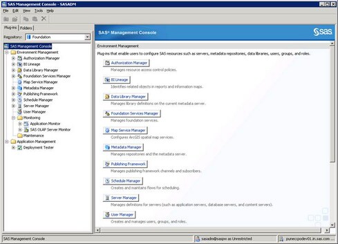 SAS Management Console