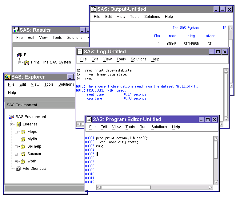 [SAS Windowing Environment]