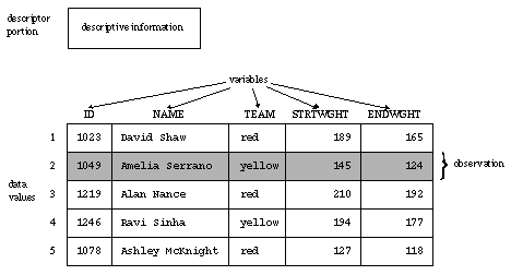 [Representation of a SAS Data Set]
