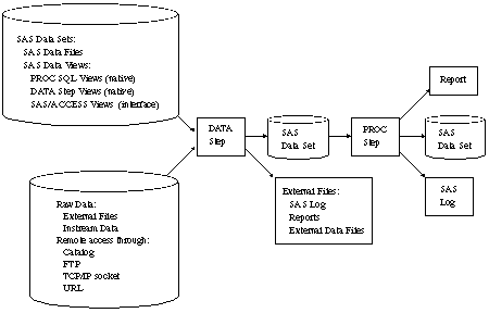 [SAS Processing]