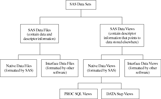 Types of SAS Data Sets