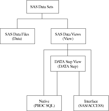 Native and Interface SAS Data Views