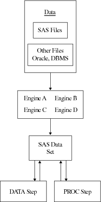 How SAS Data Sets Are Accessed