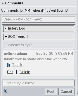 Activities Category View – Comments Pane