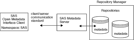 [Accessing Metadata Defined in the SAS Namespace]