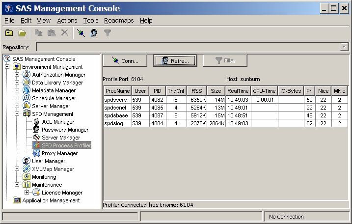 SPD Process Profile in SAS Management Console