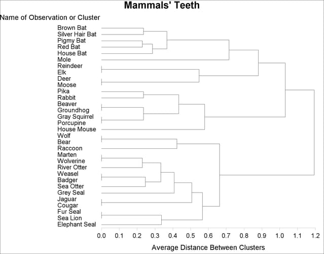 Tree Diagram of Mammal Teeth Clusters