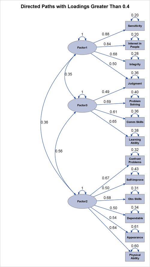 Path Diagram Showing Strong Links