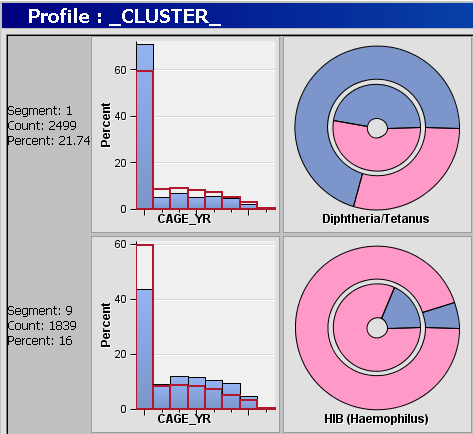 Profile:_Cluster_ window