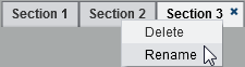 The Menu Option for Renaming a Section