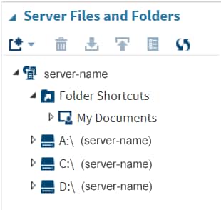 Folder Shortcuts and Defined Drives for Windows Server