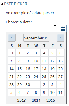 Example of a Date Picker Control