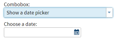 Date Picker Control in the User Interface
