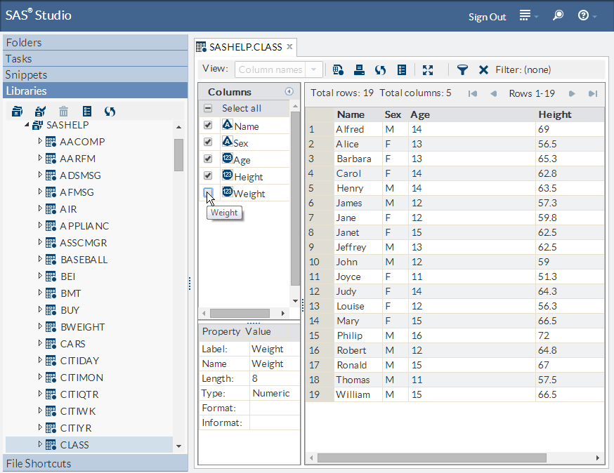 Table Viewer That Shows the CLASS Table with the Weight Column Removed
