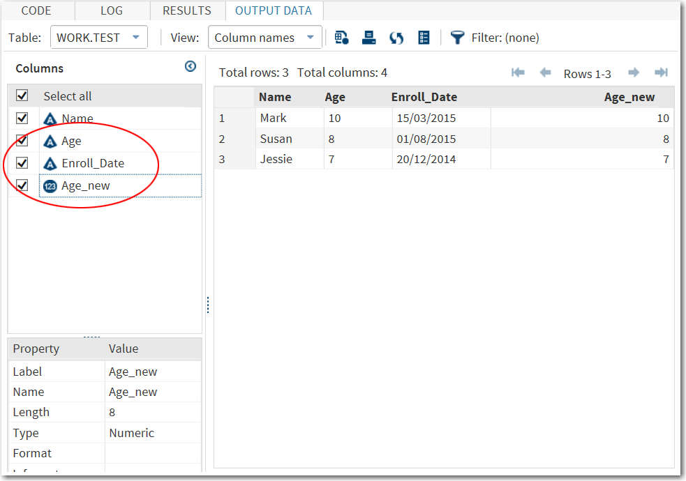 Output Data Set with Both Age and Age_new Variables