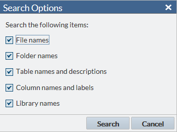 Search Options Window
