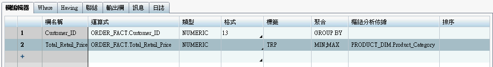 包含樞紐分析依據欄的欄編輯器標籤