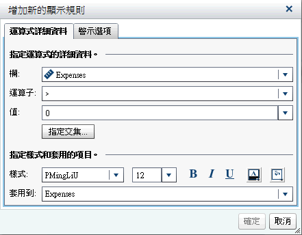 運算式的 [增加新的顯示規則] 視窗