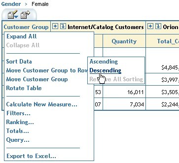 Table showing menu with Sort Data Descending for Customer Group highlighted