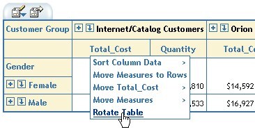 Table showing menu for Total_Cost with Rotate Table highlighted