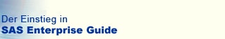 Der Einstieg in SAS Enterprise Guide