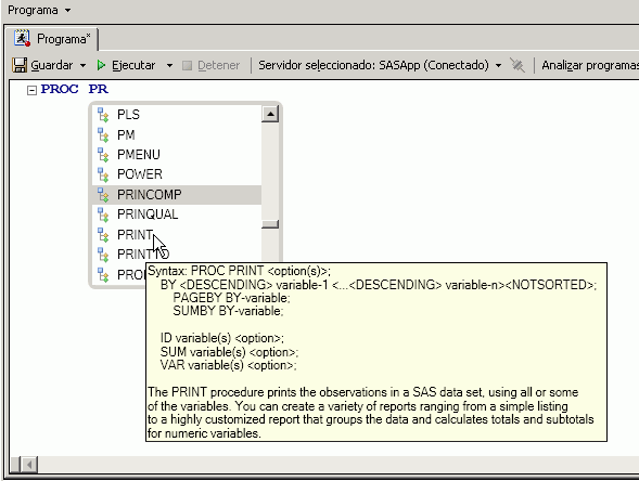 Program editor window