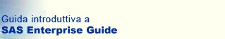 Guida introduttiva a SAS Enterprise Guide