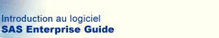 Introduction à SAS Enterprise Guide
